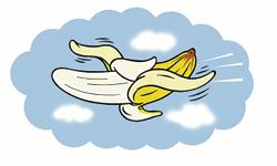 GLD flying banana 250